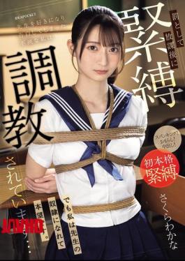 IPZZ-653 I Fell In Love With My Teacher And Confessed My Feelings To Him, So As Punishment I Am Being Tied Up And Trained After School... But I Am Happy To Be His Slave. Wakana Sakura