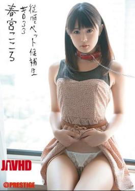 Mosaic INU-052 Togu Mind # 033 Candidates Obedient Pets