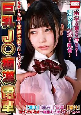 Mosaic NHDTB-851 Big-breasted J Molester Train - Rape Her Grown Breasts With Perverted Fetishes!