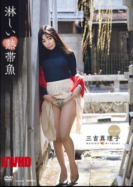 TSDS-46065 Lonely Tropical Fish / Mariko Miyoshi