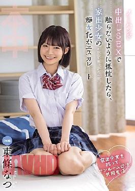 HMN-752 I Picked Up A Runaway Girl And We Started Living Together Legally In A One-room Apartment. When She Resisted Being Touched During No-hands Creampie Sex, The Runaway Girl's Transformation Into A Slut Escalated. Natsu Tojo