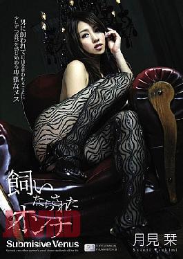 Mosaic SOE-366 Bookmark Tame Moon Woman