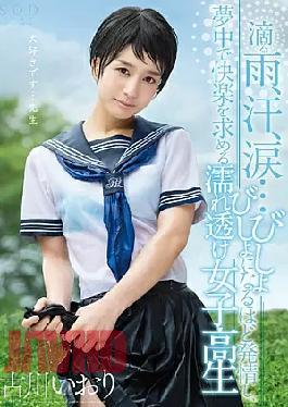 Mosaic STAR-700 Wet Clothing School Girls That Furukawa Iori Dripping Rain, Sweat, Tears ... Soaked In The More Estrus, Seek The Crazy A Pleasure