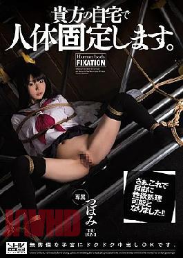 Mosaic Ones-462 I'll Fix a Human Body Courtyard Youl Home. Bud