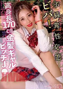 Mosaic SKSK-059 Viva!