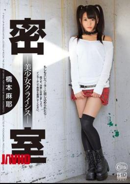 Mosaic XVSR-020 Behind Closed Doors - Pretty Crisis - Maya Hashimoto