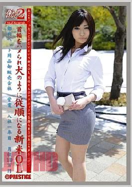 Mosaic JOB-023 2 VOL.27 Working Woman