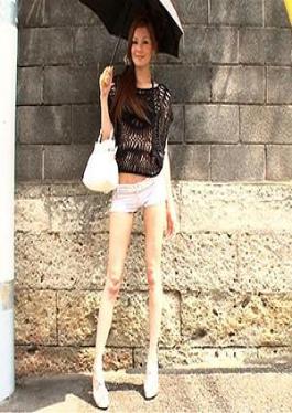 Mosaic HMHI-545 Ameri 2