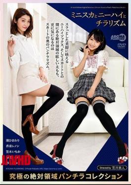 ARM-959 Miniskirt, Knee High And Chirarism Ultimate Absolute Area Skirt Collection
