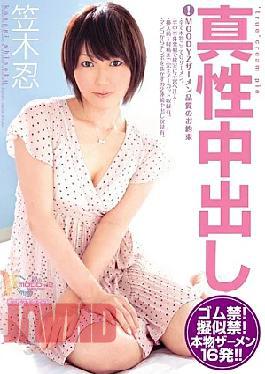 Mosaic Migdo-434 Real Internal Administration Kasaiki Ninu