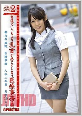 Mosaic JOB-026 woman working 2 VOL.30