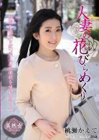 MYBA-025