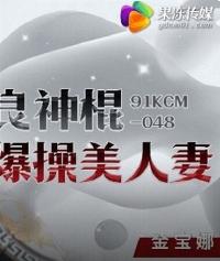 91KCM048