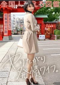 336KNB-246
