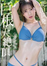 STARS-776 Reduce Mosaic