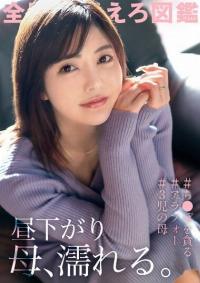 336KNB-257