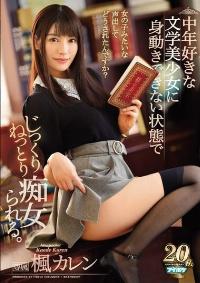 IPX-352 Reduce Mosaic