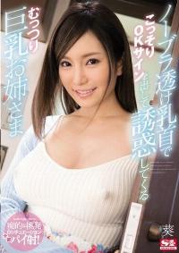 SNIS-930 Reduce Mosaic