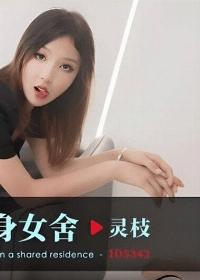 ID-5343