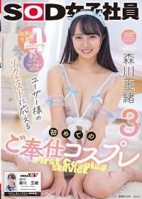 SDJS-176 Reduce Mosaic