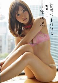 INU-027 Reduce Mosaic