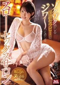 SSNI-591 Reduce Mosaic