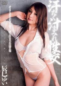 DV-1311 Reduce Mosaic