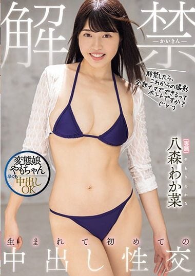 MIDV-649 Reduce Mosaic