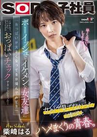 SDJS-232 Reduce Mosaic