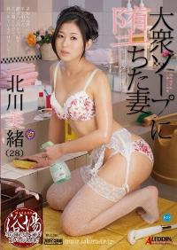 SPRD-560 Reduce Mosaic