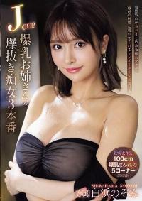 IPZZ-286 Reduce Mosaic