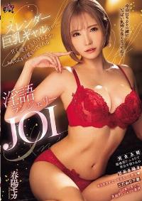 DASS-413 Reduce Mosaic