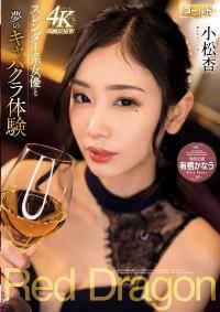 GDRD-024 Reduce Mosaic