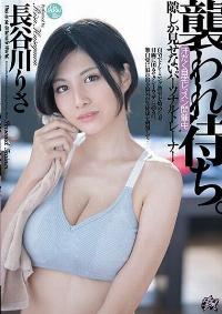 PFES-015 Reduce Mosaic