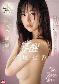 SONE-168 Reduce Mosaic