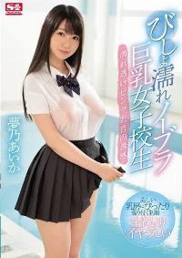 SSNI-058 Reduce Mosaic