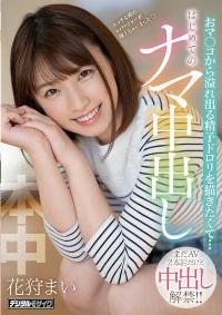 HND-976 Reduce Mosaic