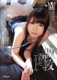 IPZ-919 Reduce Mosaic