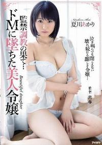 IPZ-970 Reduce Mosaic