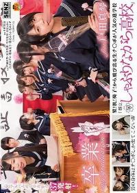 SDDE-535 Reduce Mosaic