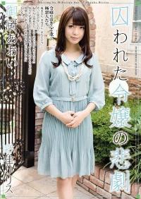 RBD-421 Reduce Mosaic