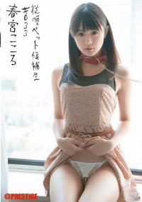 INU-052 Reduce Mosaic