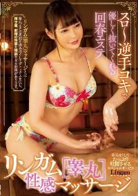 MIAA-353 Reduce Mosaic