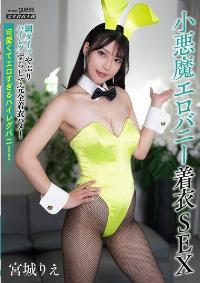 MIBB-060 Reduce Mosaic