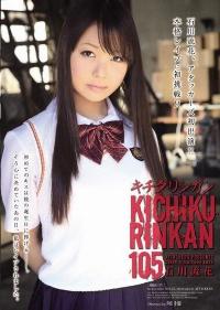 SHKD-473 Reduce Mosaic