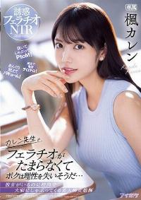 IPX-867 Reduce Mosaic