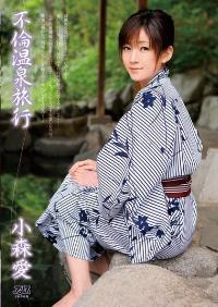 DV-1420 Reduce Mosaic