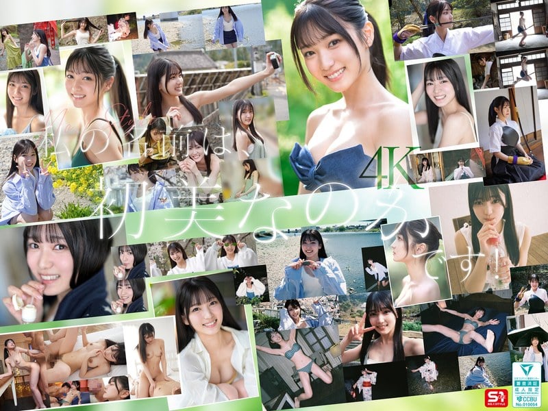 SONE-962 Reduce Mosaic