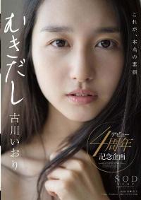 STAR-730 Reduce Mosaic