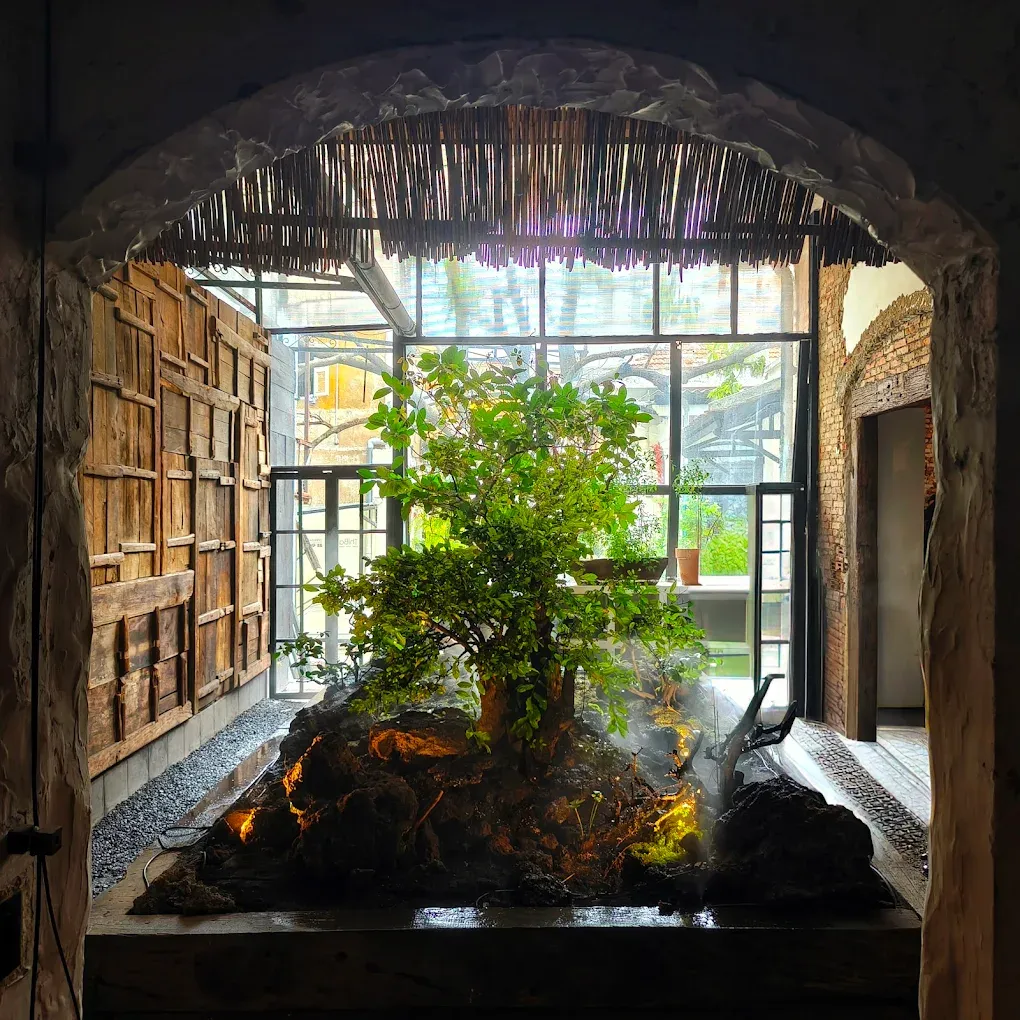 Thiba Coffee - mossy rock garden